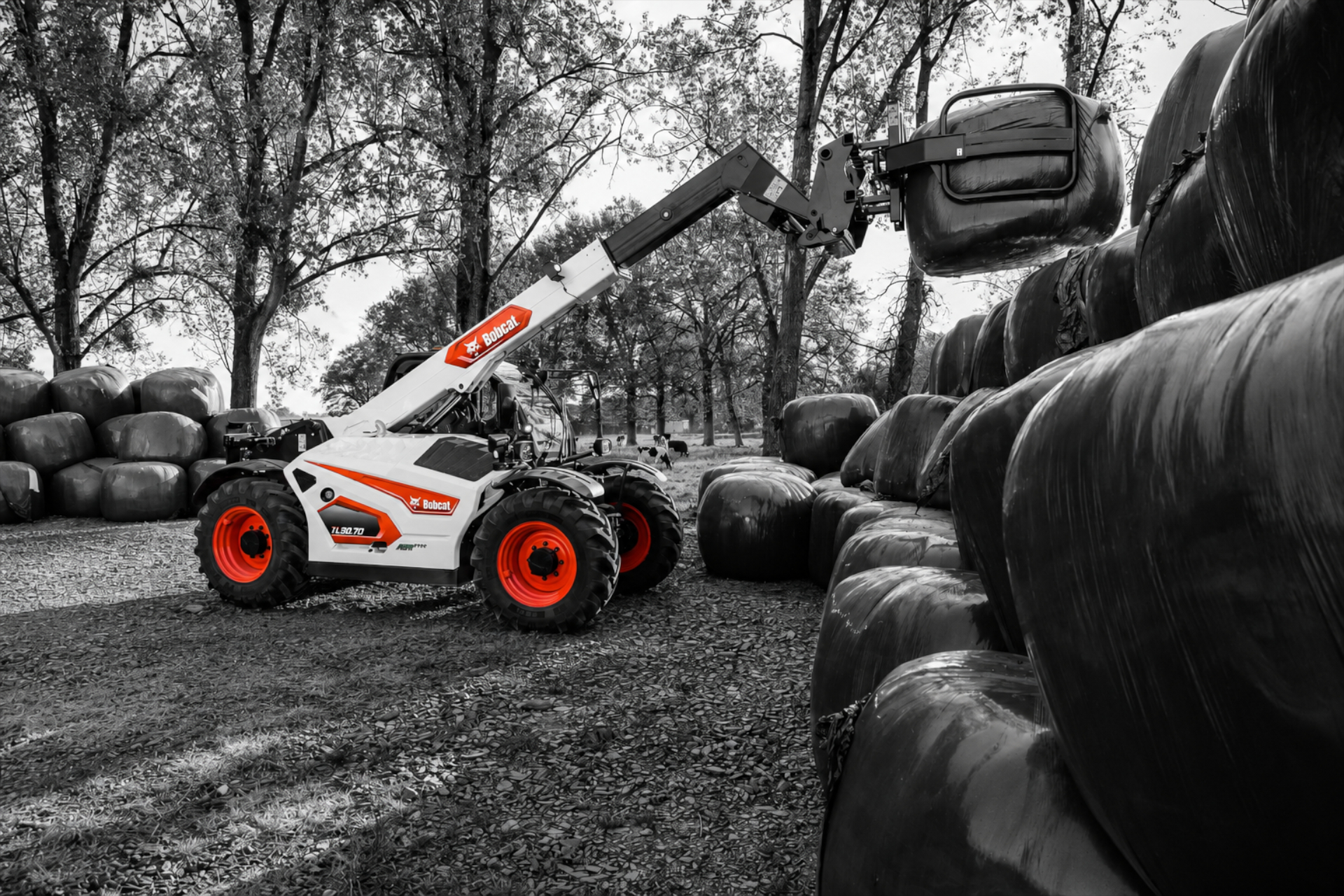 Bobcat Teleskoplader TL30.60 AGRI