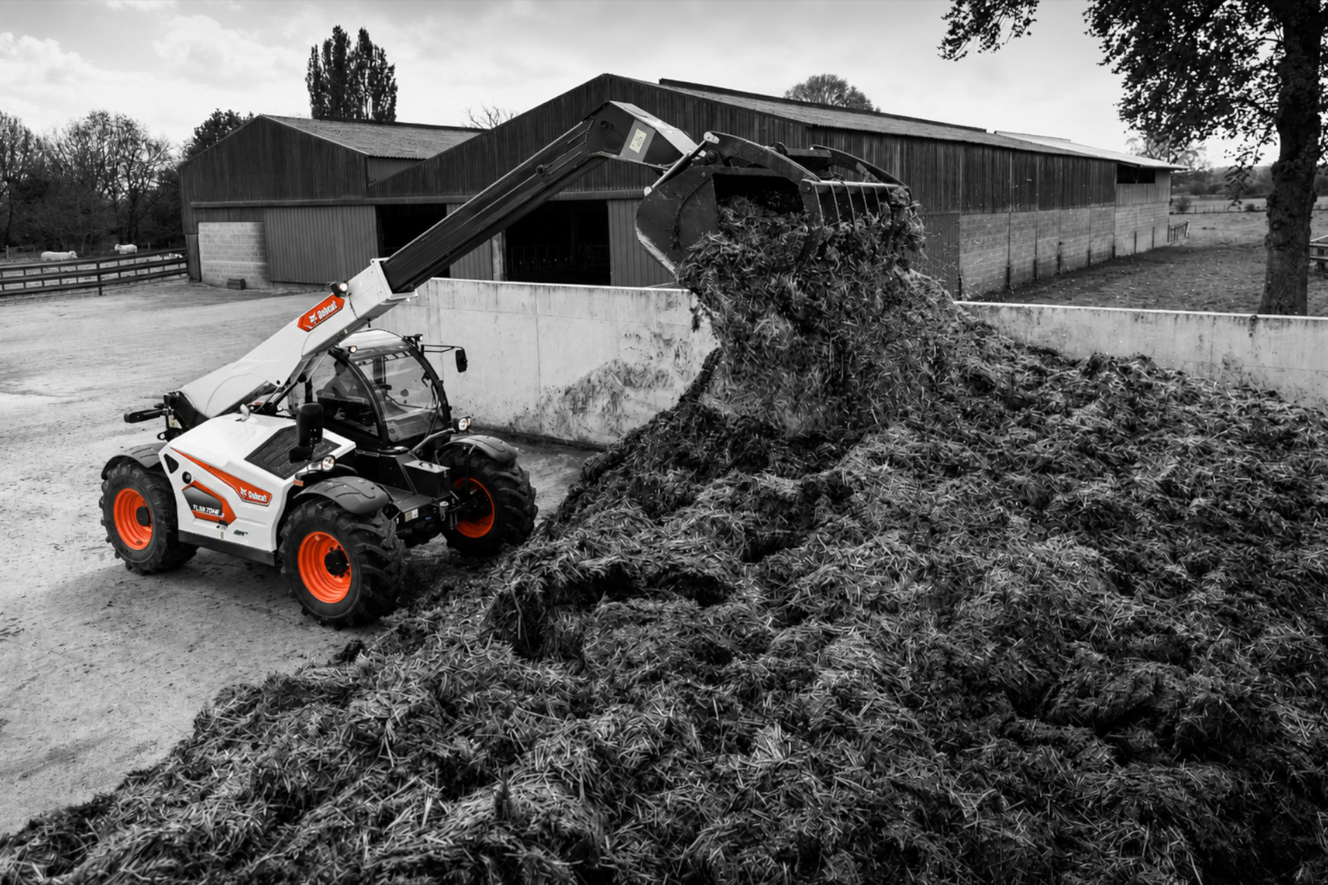 Bobcat Teleskoplader TL35.70 AGRI