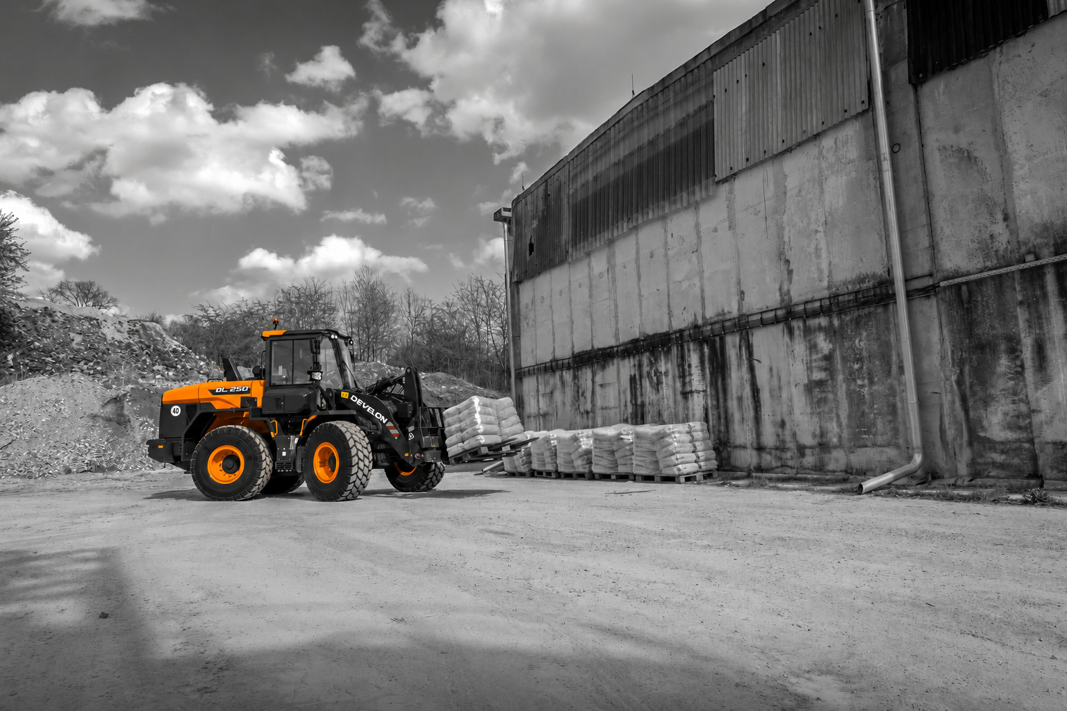 Develon DL250-7