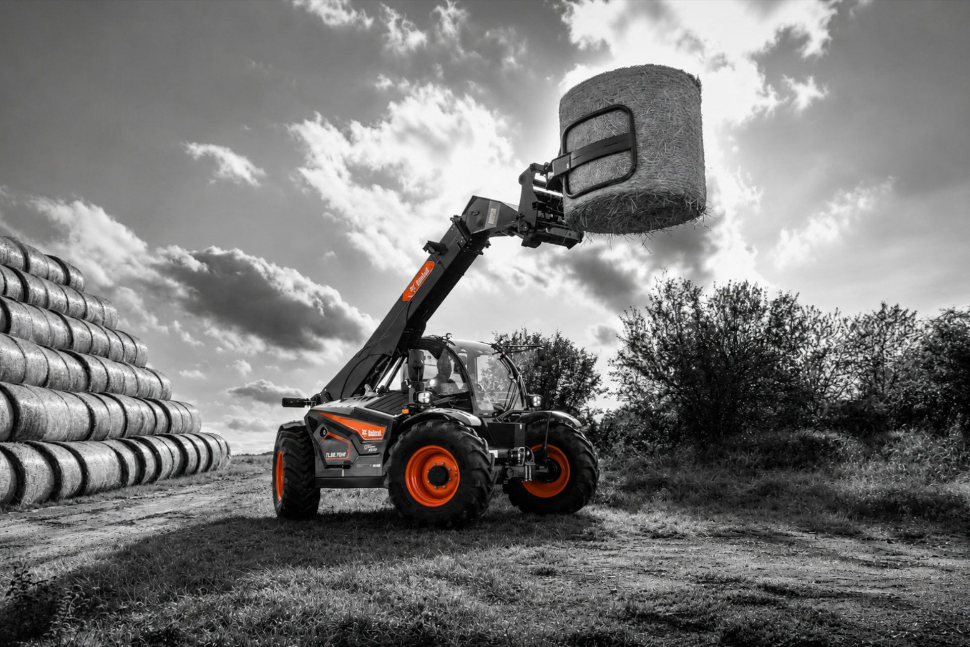Bobcat Gebrauchtmaschinen